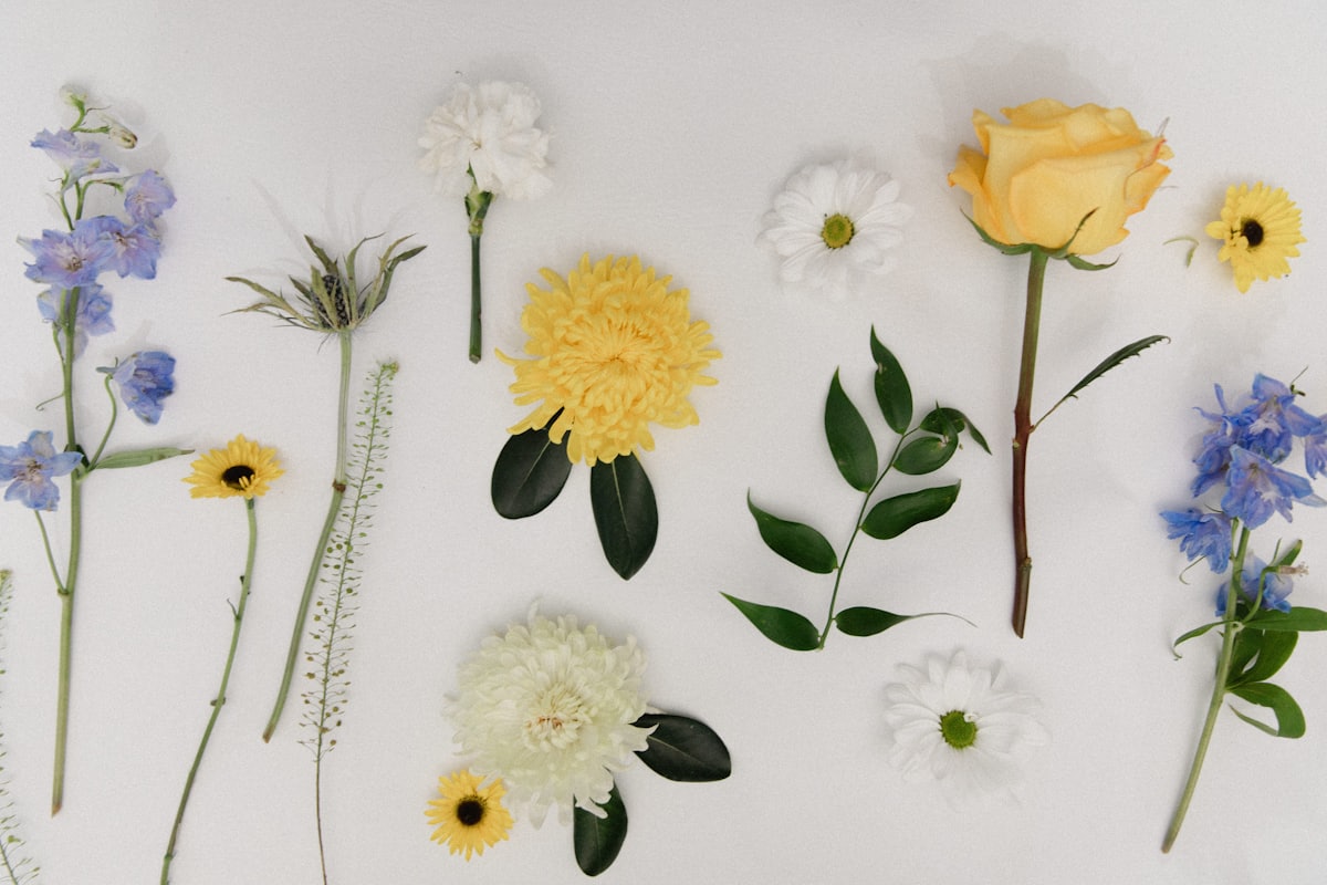 Composition florale printanière